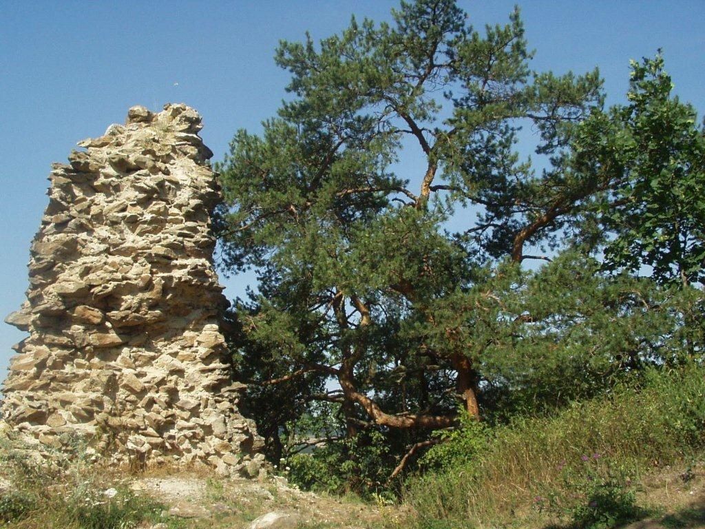 Ruine Buchenstein 