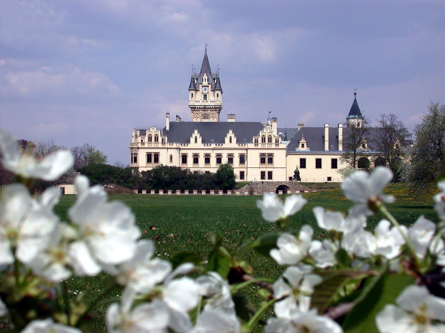 Schloss Grafenegg mit blühenden Bäumen im Vordergrund.