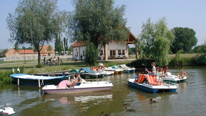 Teich