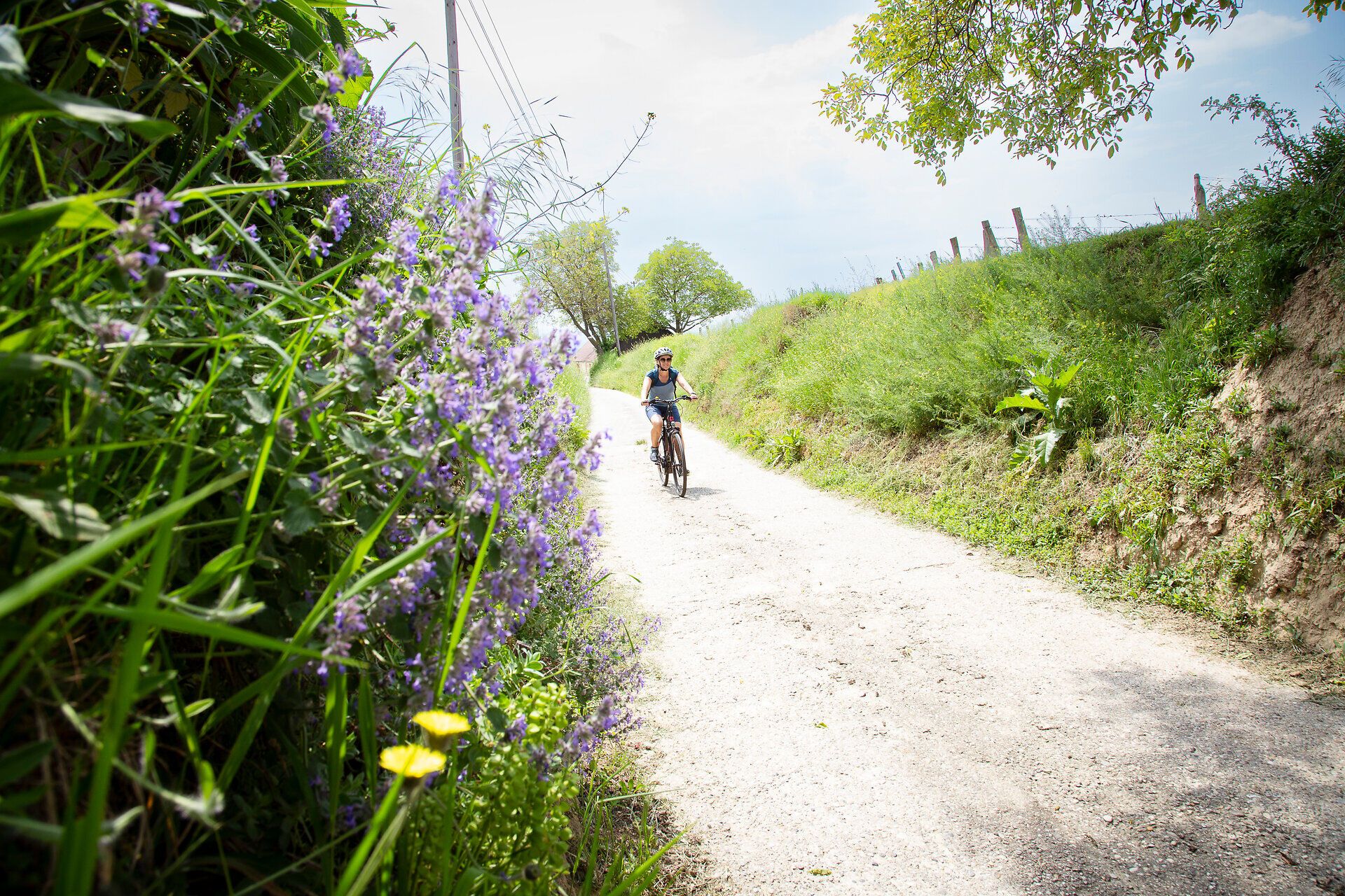 Radfahrer im schattigen Hohlweg.