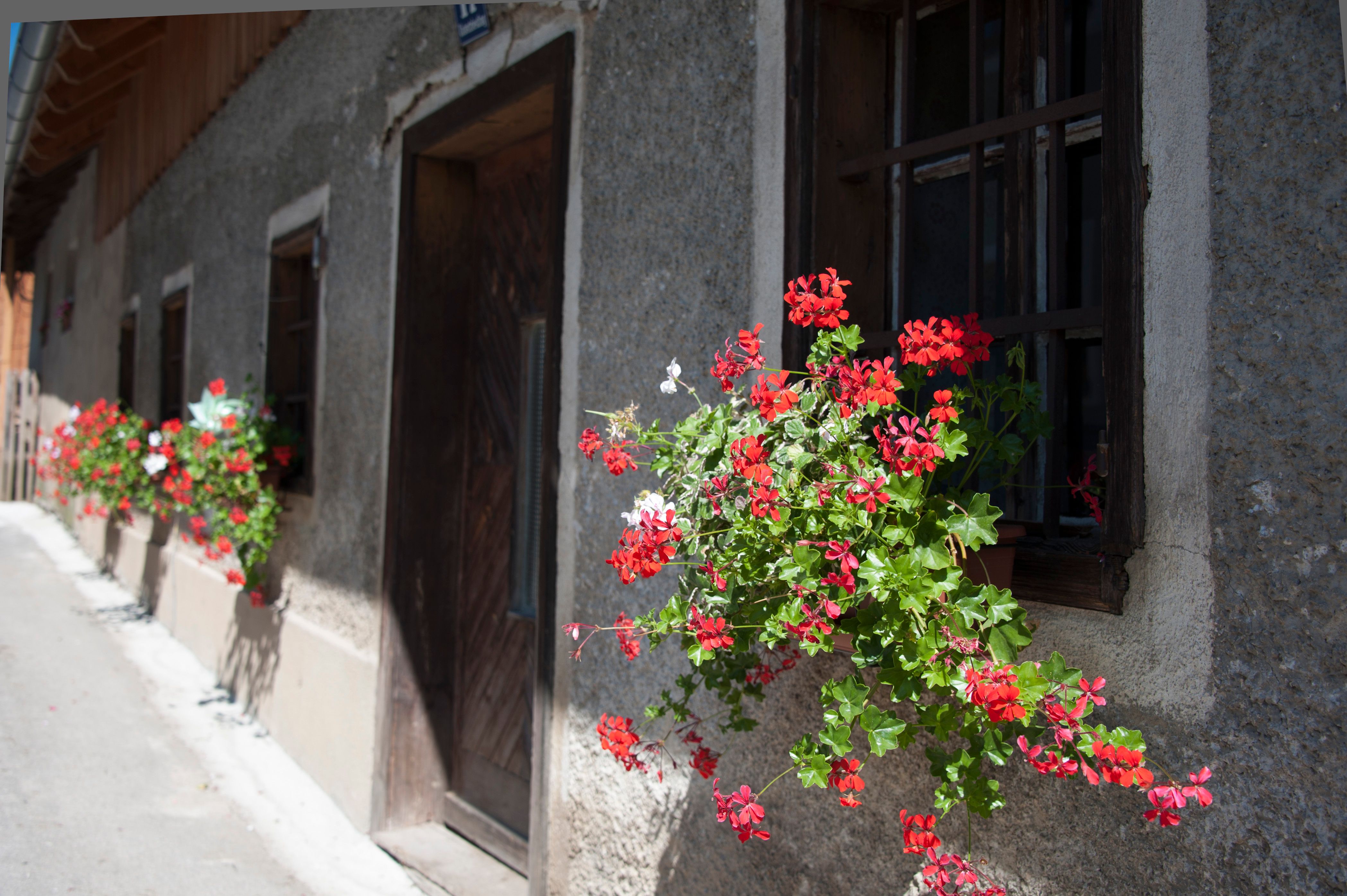 Blumen an einem Fenster eines alten Hauses.
