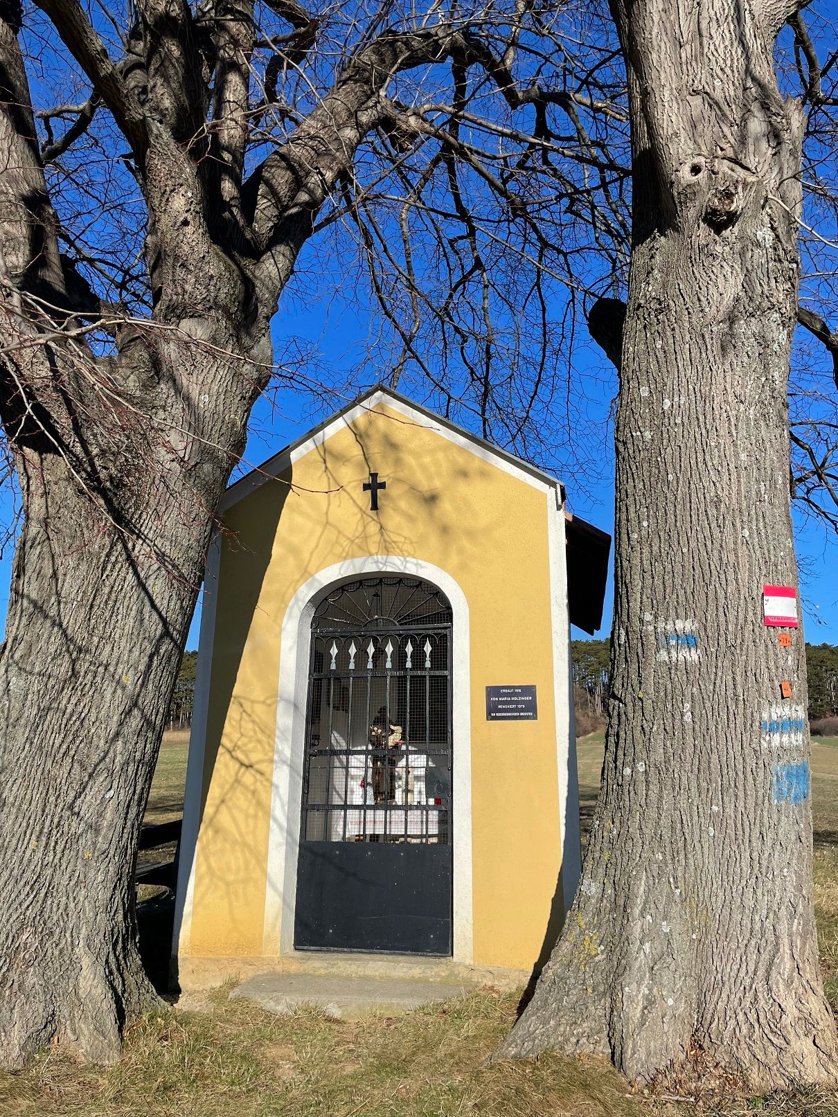 Kleine gelbe Kapelle zwischen zwei großen Bäumen mit blauem Himmel im Hintergrund.