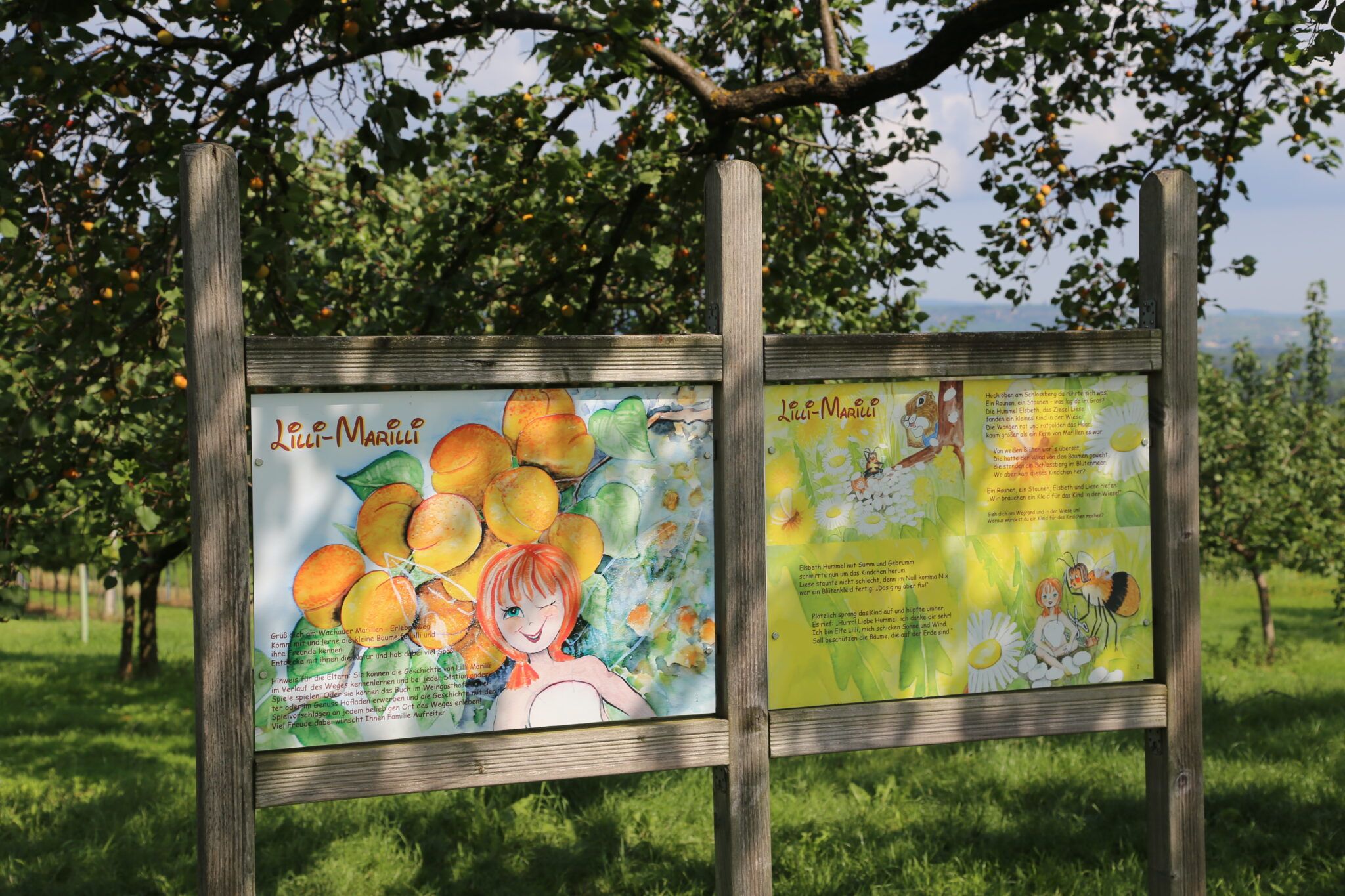 Beschilderung im Marillengarten mit Illustrationen von Lilli-Marilli und Marillenfrüchten.