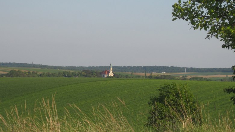 Landschaft mit Kirche in der Ferne, umgeben von gr&uuml;nen Feldern und B&auml;umen.