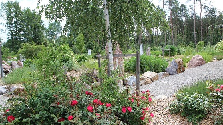 Ein Garten mit roten Rosen, Kieswegen und B&auml;umen.