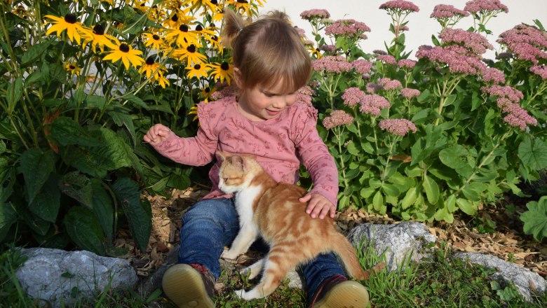 Urlaub am Bauernhof H&ouml;barten (4), &copy; H&ouml;barten