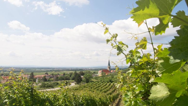 Was f&uuml;r ein Blick!, &copy; Hannes Hofer