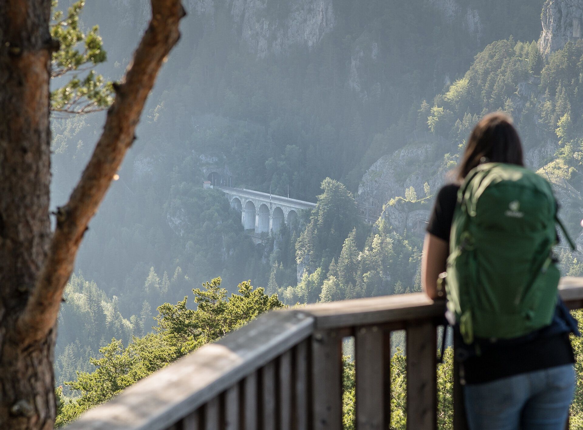 Ein Wanderer genießt die atemberaubende Aussicht auf die majestätischen Berge und die beeindruckende Brücke, die sich elegant in die Landschaft einfügt. Die sanften Hügel und das dichte Grün der Wälder schaffen eine harmonische Kulisse, die zum Verweilen einlädt. Hier, in den Wiener Alpen, wird der Sommer zu einem unvergesslichen Erlebnis.
