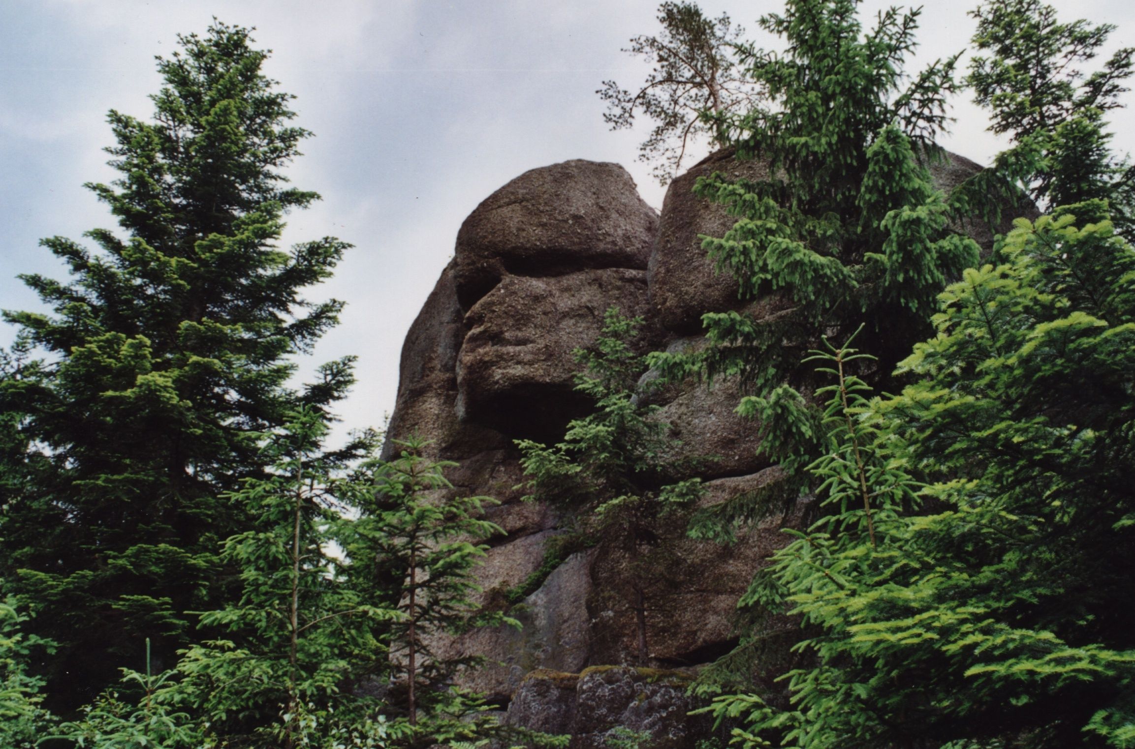 Ein großer Felsen, der einem Gesicht ähnelt, umgeben von Bäumen.