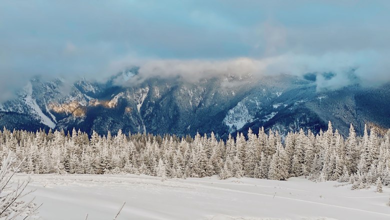 Winterlicher Genuss auf dem Rax-Plateau, © Pavel Danek