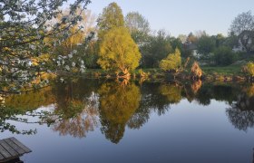 Ein ruhiger See mit Bäumen und deren Spiegelung im Wasser, umgeben von blühenden Zweigen.