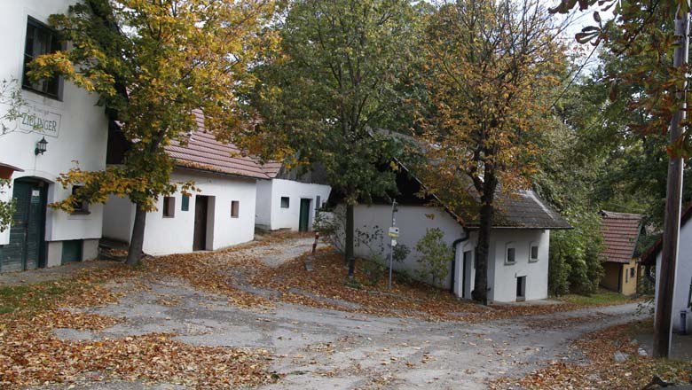Kellerberg, &copy; Gemeinde Velm-G&ouml;tzendorf
