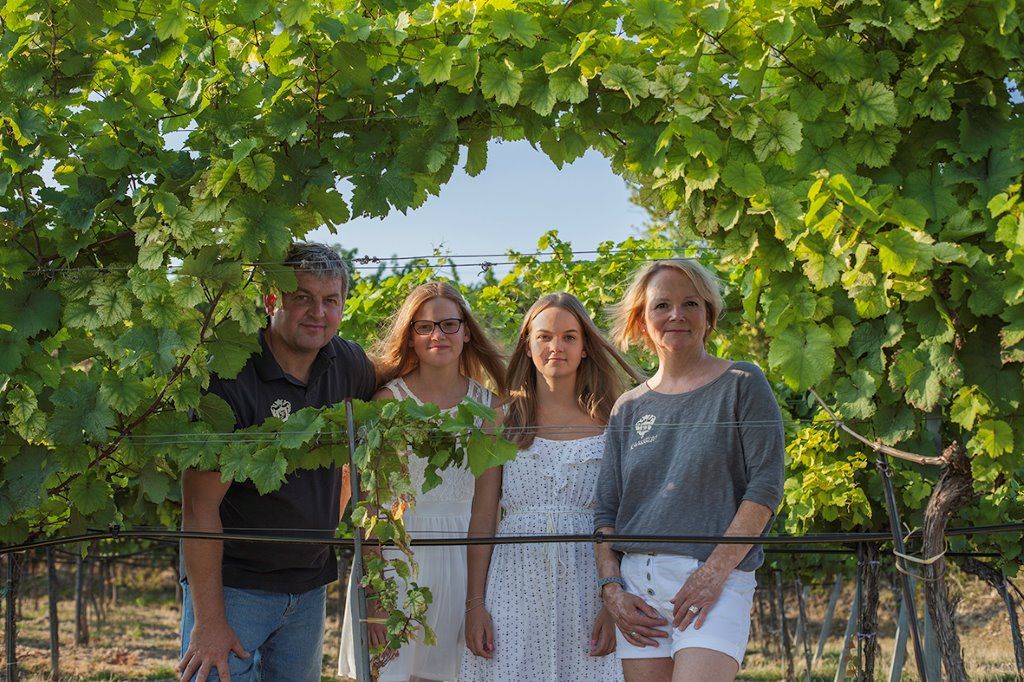 Vier Personen stehen in einem Weinberg, umgeben von grünen Weinreben.
