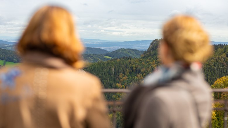 Zwei unscharfe Personen blicken auf eine bewaldete Berglandschaft mit Fernsicht.