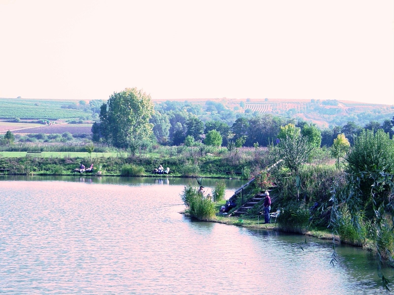 Ein ruhiger Fischteich mit Anglern, umgeben von grüner Landschaft und Weinbergen im Hintergrund.