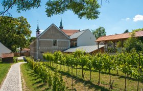 Freigel&auml;nde Vino Versum, &copy; Vino Versum Poysdorf  /Michael Loizenbauer