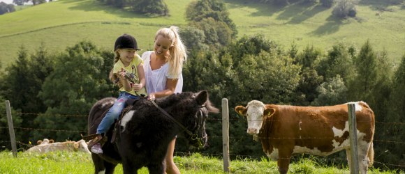Auf dem R&uuml;cken der Pferde liegt das Gl&uuml;ck der Erde!, &copy; Karin Lohberger Photography
