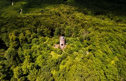 Umgeben von üppigem Grün erhebt sich die Wilhelmswarte majestätisch über die Wälder des Wienerwaldes. Von hier aus eröffnet sich ein atemberaubender Blick auf die sanften Hügel und die malerische Landschaft, die zum Verweilen und Entdecken einlädt. Ein Ort der Ruhe und Inspiration, ideal für Naturliebhaber und Wanderfreunde.