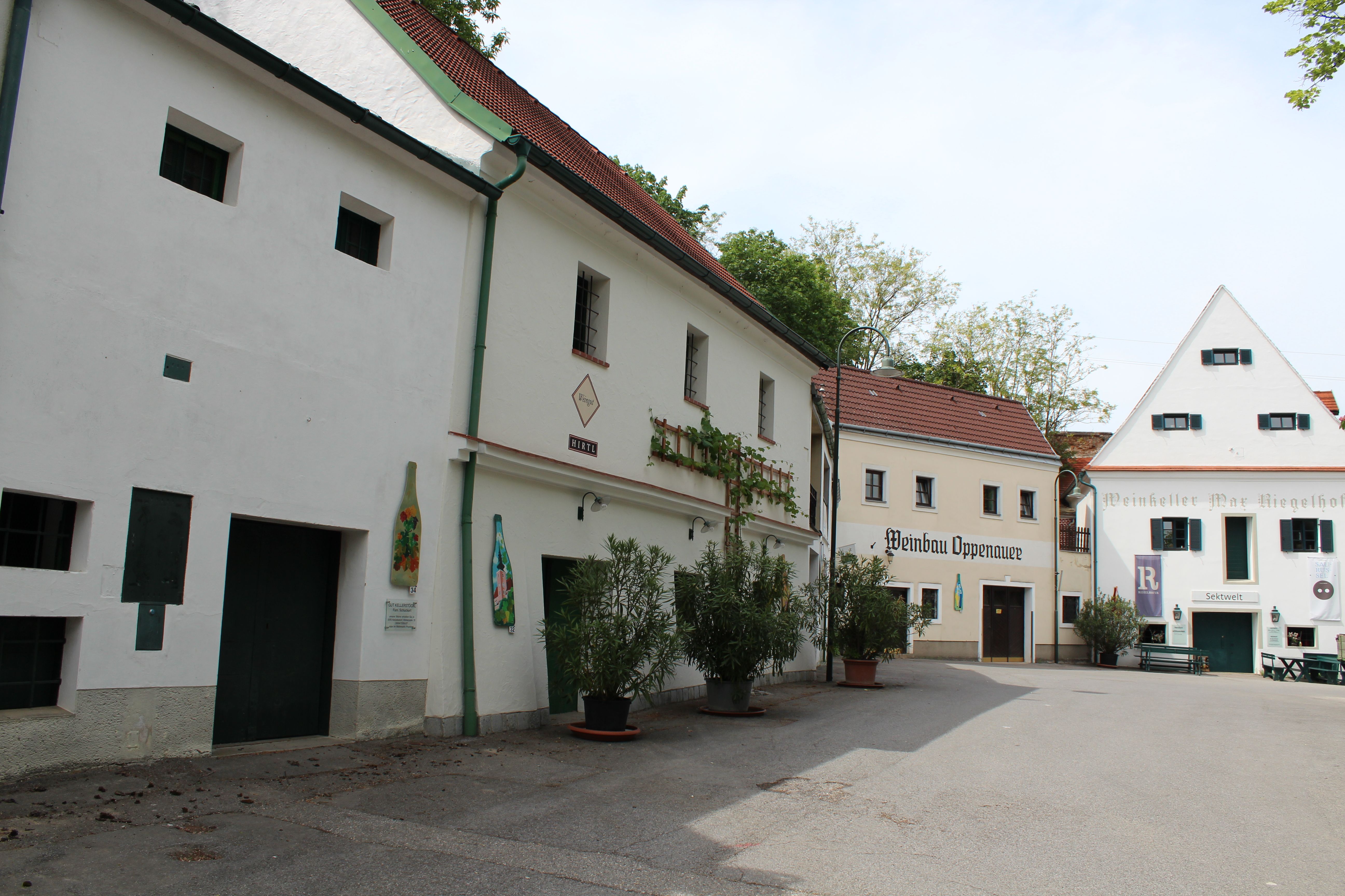 Kellergasse in Poysdorf mit traditionellen Weinhäusern und Pflanzen.
