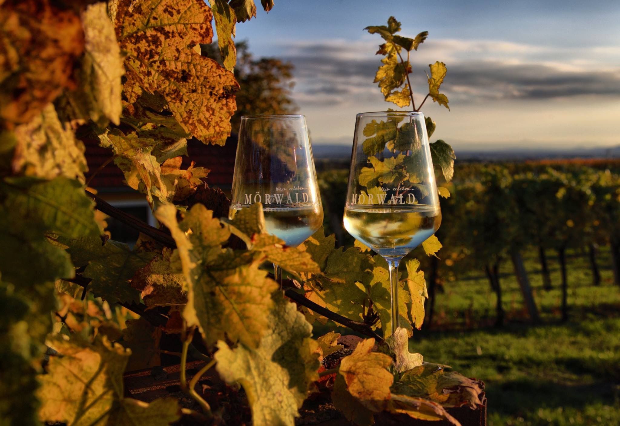 Weinbau Mörwald