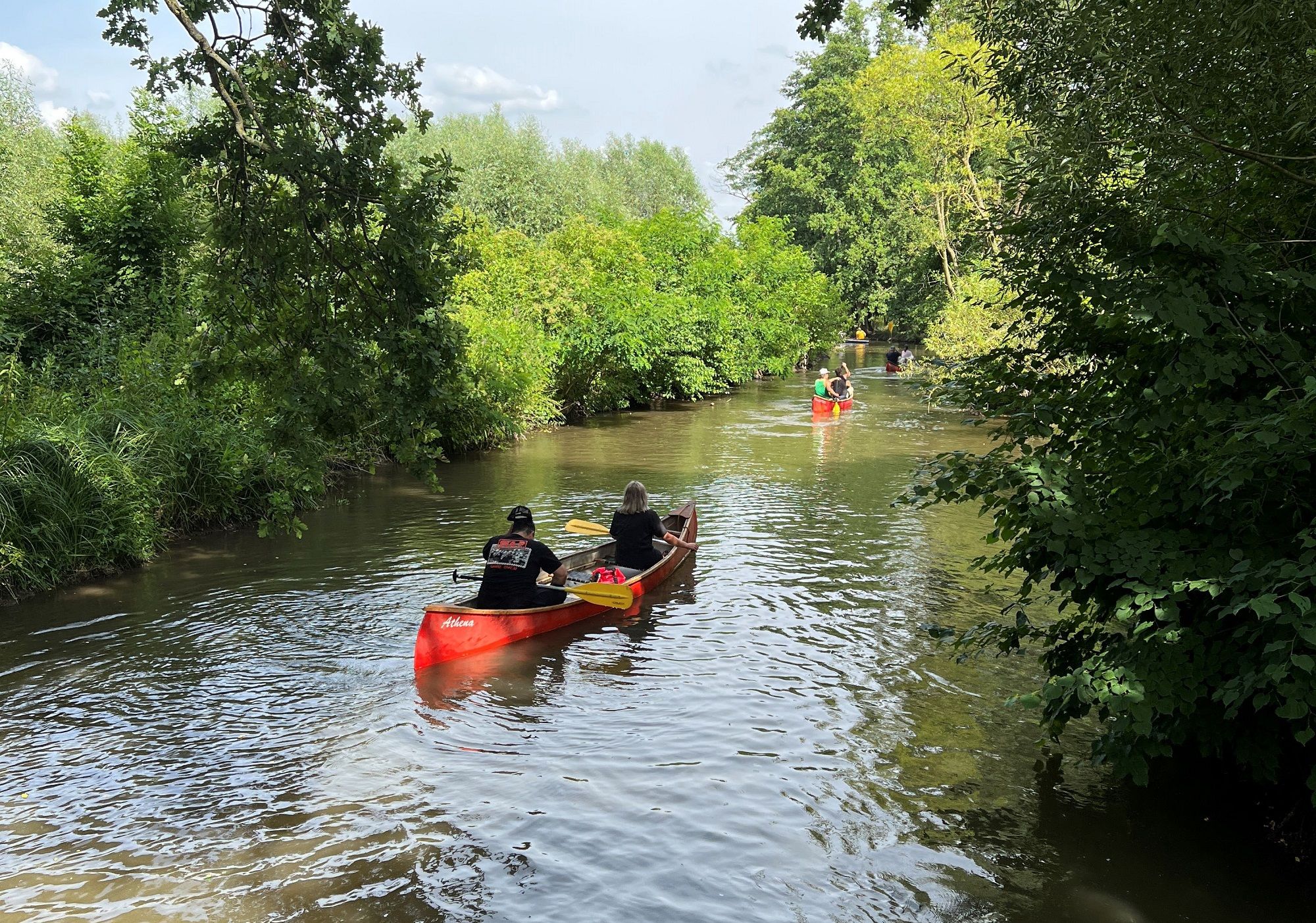 Rote Kanus auf einem Fluss im grünen Wald bei Laa an der Thaya