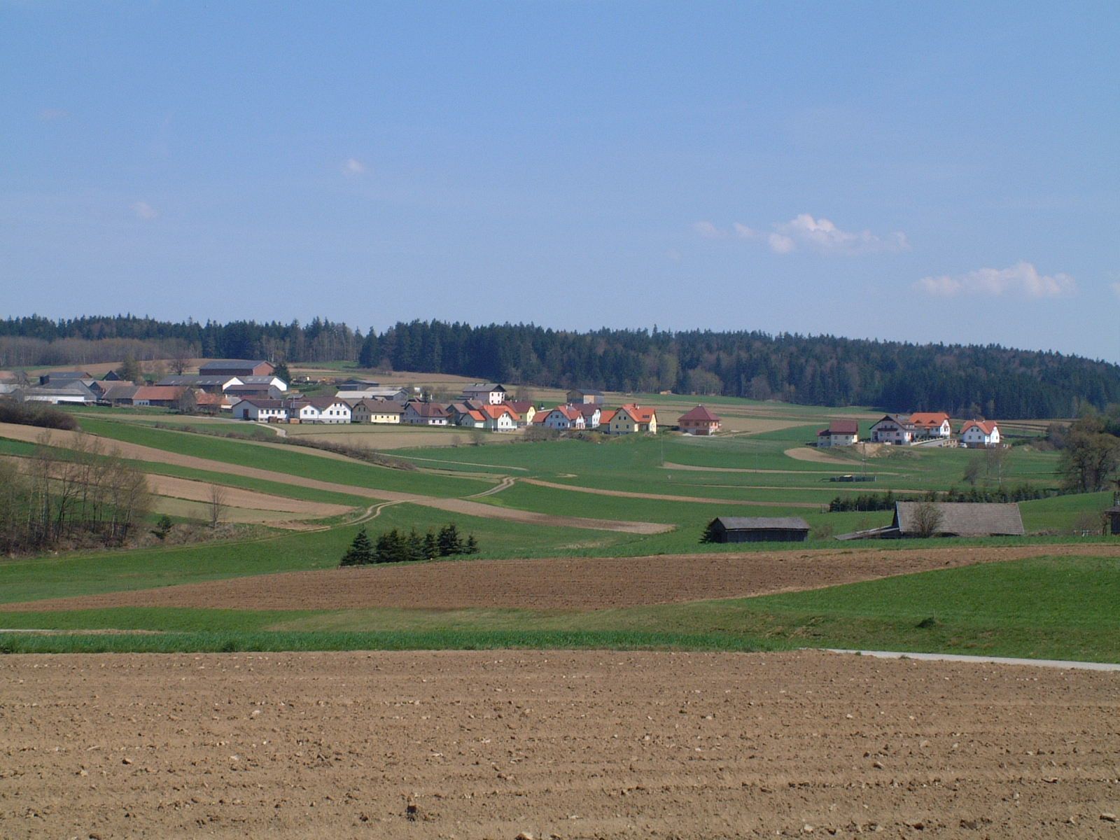 Landschaft mit Feldern und Dorf im Hintergrund, umgeben von Wald.