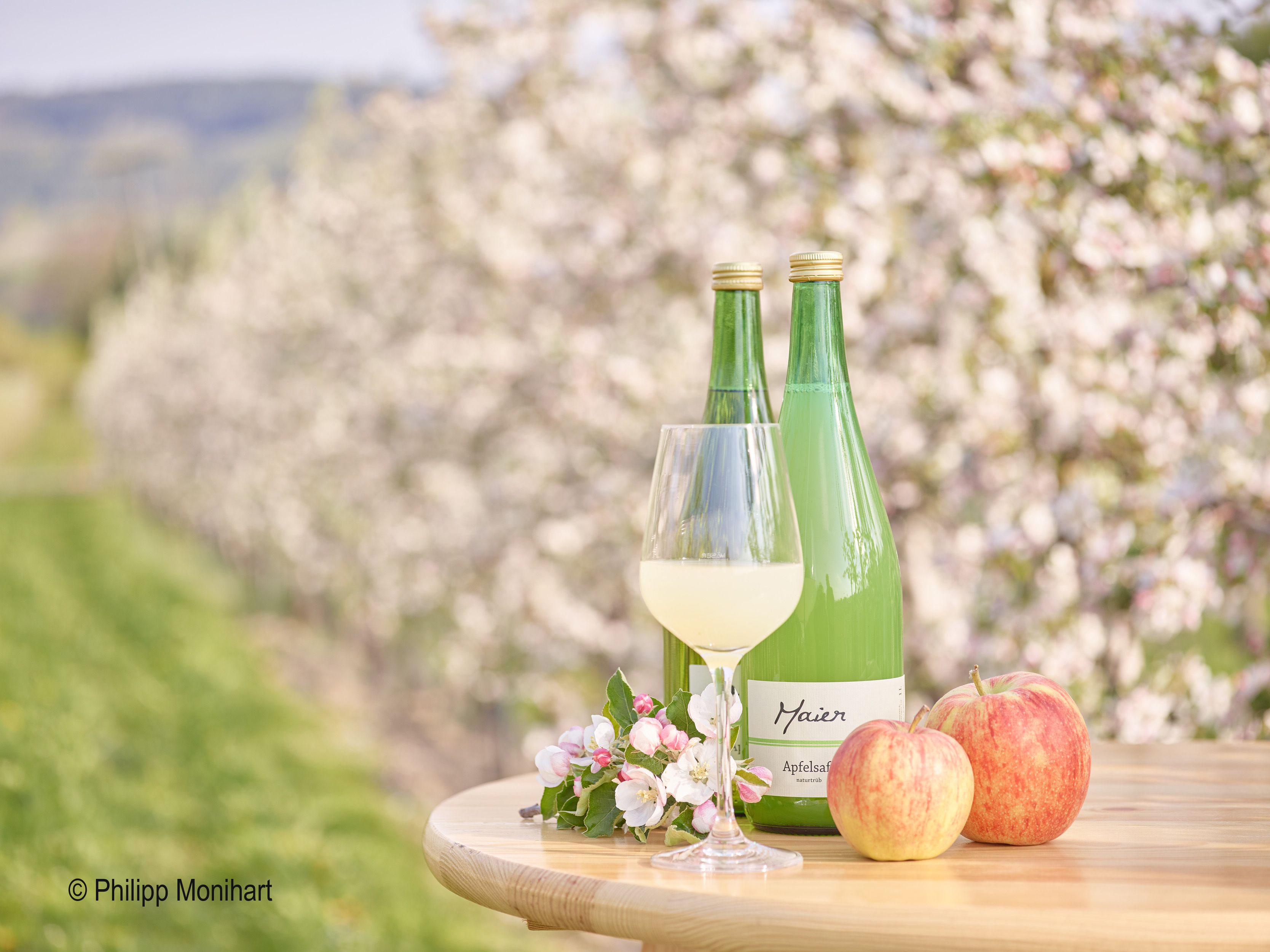 Zwei Flaschen Apfelsaft, ein Glas, zwei Äpfel und Apfelblüten auf einem Tisch vor blühenden Apfelbäumen.