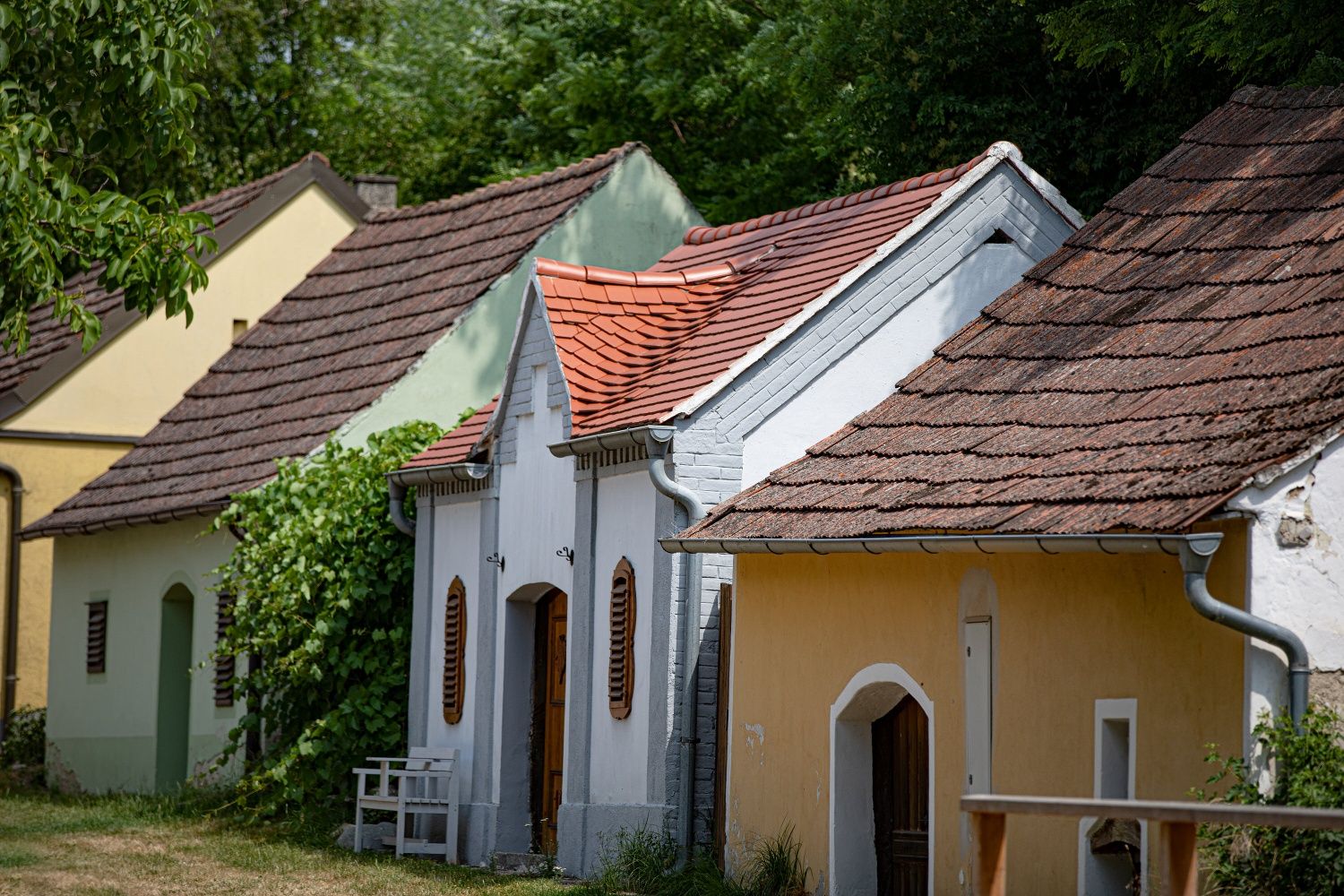 Bunte Kellergasse mit traditionellen Weinkellern entlang einer ruhigen Straße, von Bäumen gesäumt, bei warmem Tageslicht.
