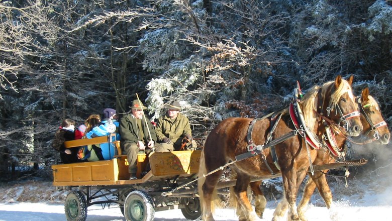 Pferdeschlittenfahrt im verschneiten Wald.