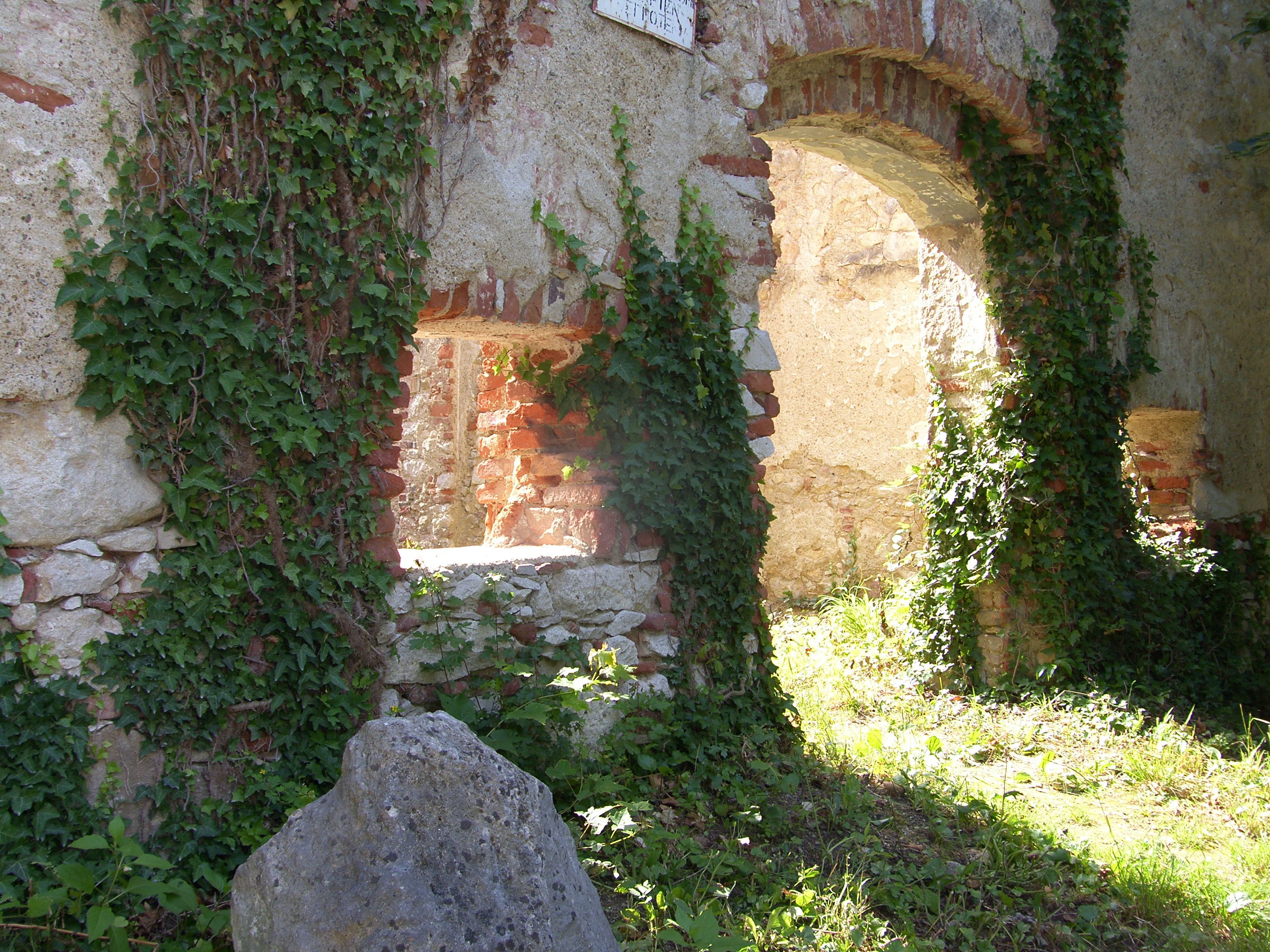 Ruinen mit Efeu bewachsen in der Wüste Mannersdorf.