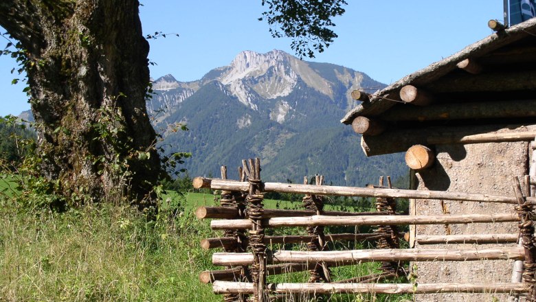 Berglandschaft mit Holzzaun und Baum im Vordergrund.