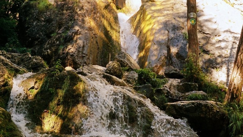 Ein Wasserfall flie&szlig;t &uuml;ber Felsen in einem bewaldeten Gebiet.