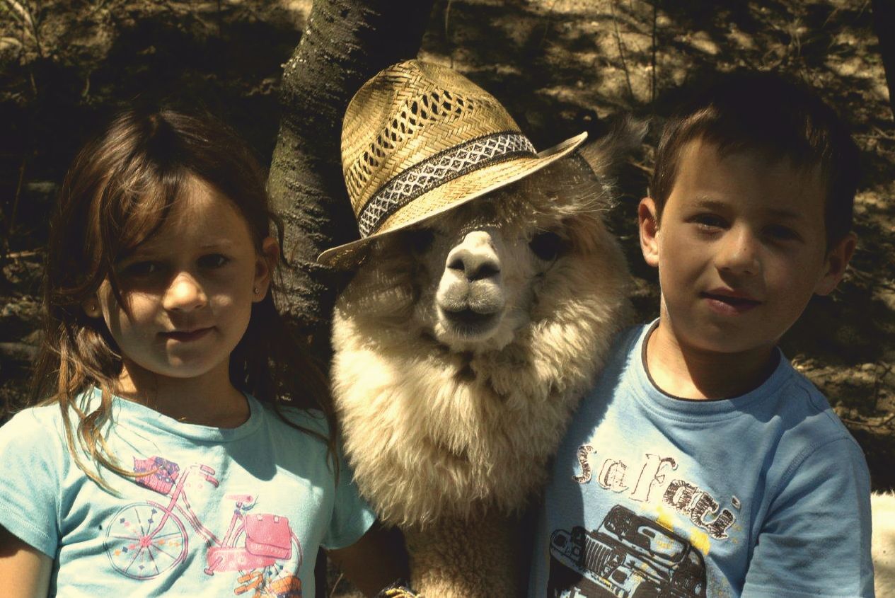 Zwei Kinder posieren mit einem Alpakababy, das einen Strohhut trägt.