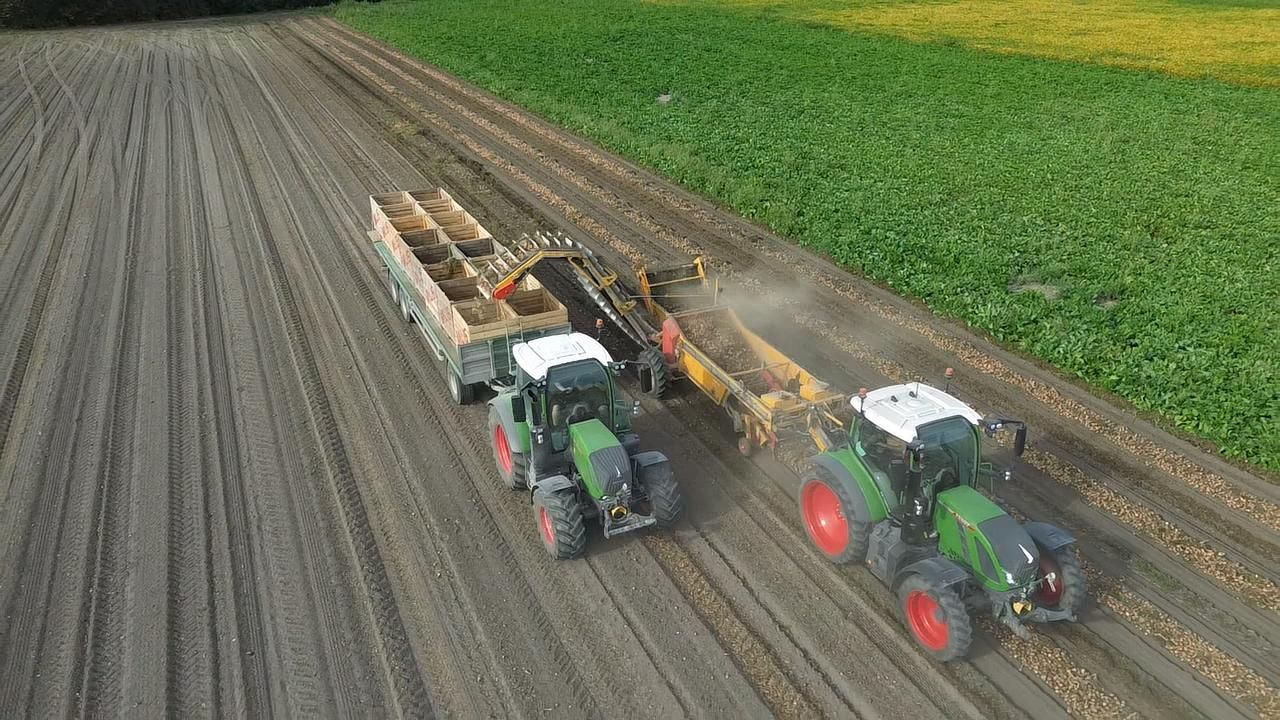 Zwei Traktoren bei der Ernte auf einem Feld, einer zieht einen Anhänger mit Kisten, der andere eine Erntemaschine.