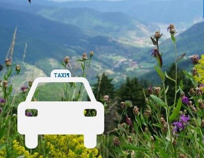 Webgrafik Jauerling-Sammeltaxi, &copy; Angelika Sch&ouml;binger-Trauner