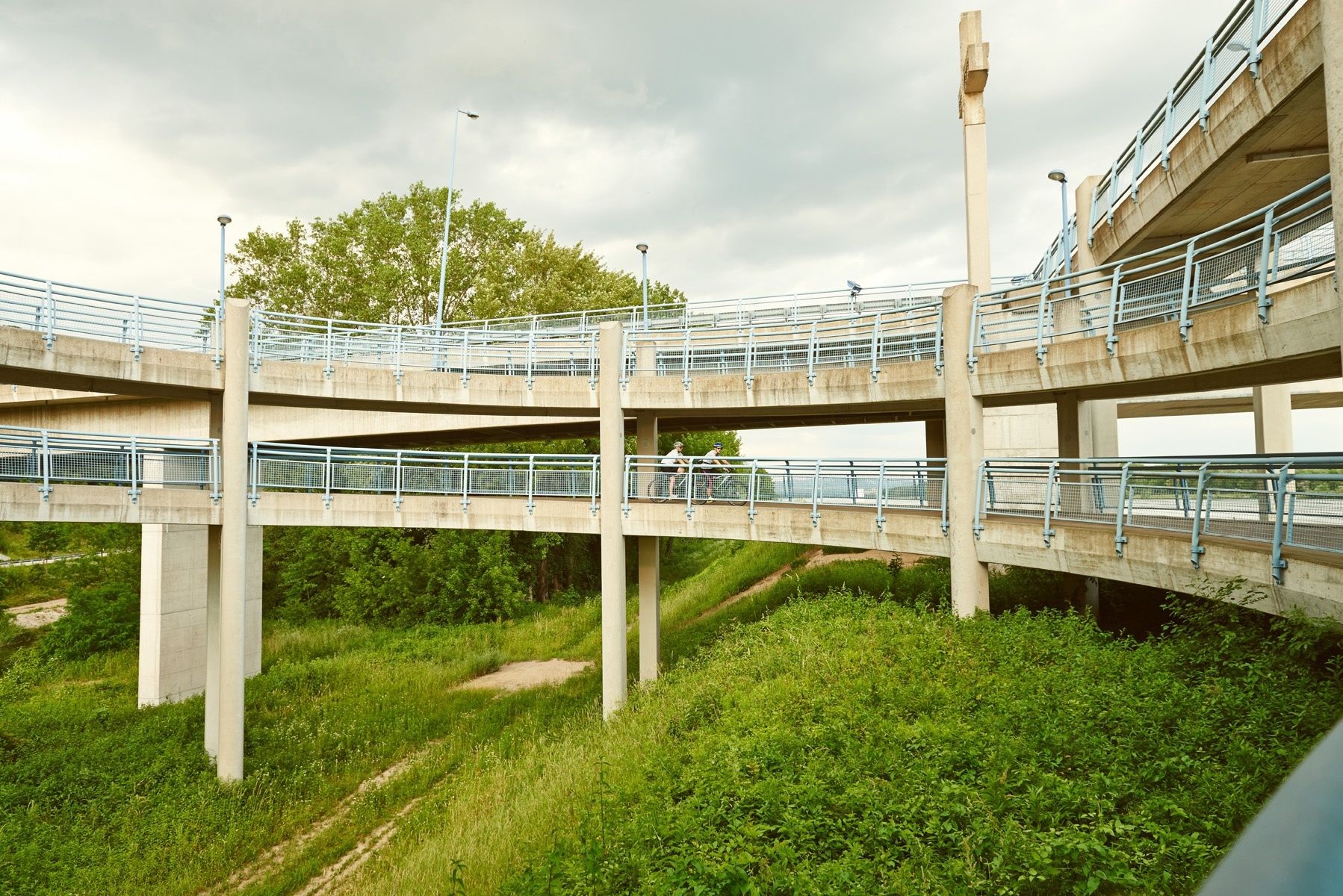 Radspindel bei Klein-Pöchlarn