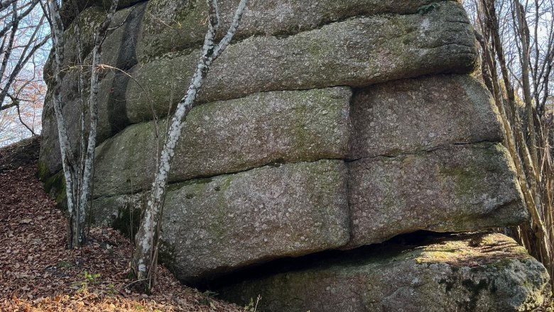 Ein gro&szlig;er, moosbedeckter Felsen im Wald, umgeben von kahlen B&auml;umen.