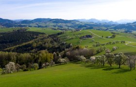 Fotopunkt Voralpenkreuz, &copy; schwarz-koenig.at
