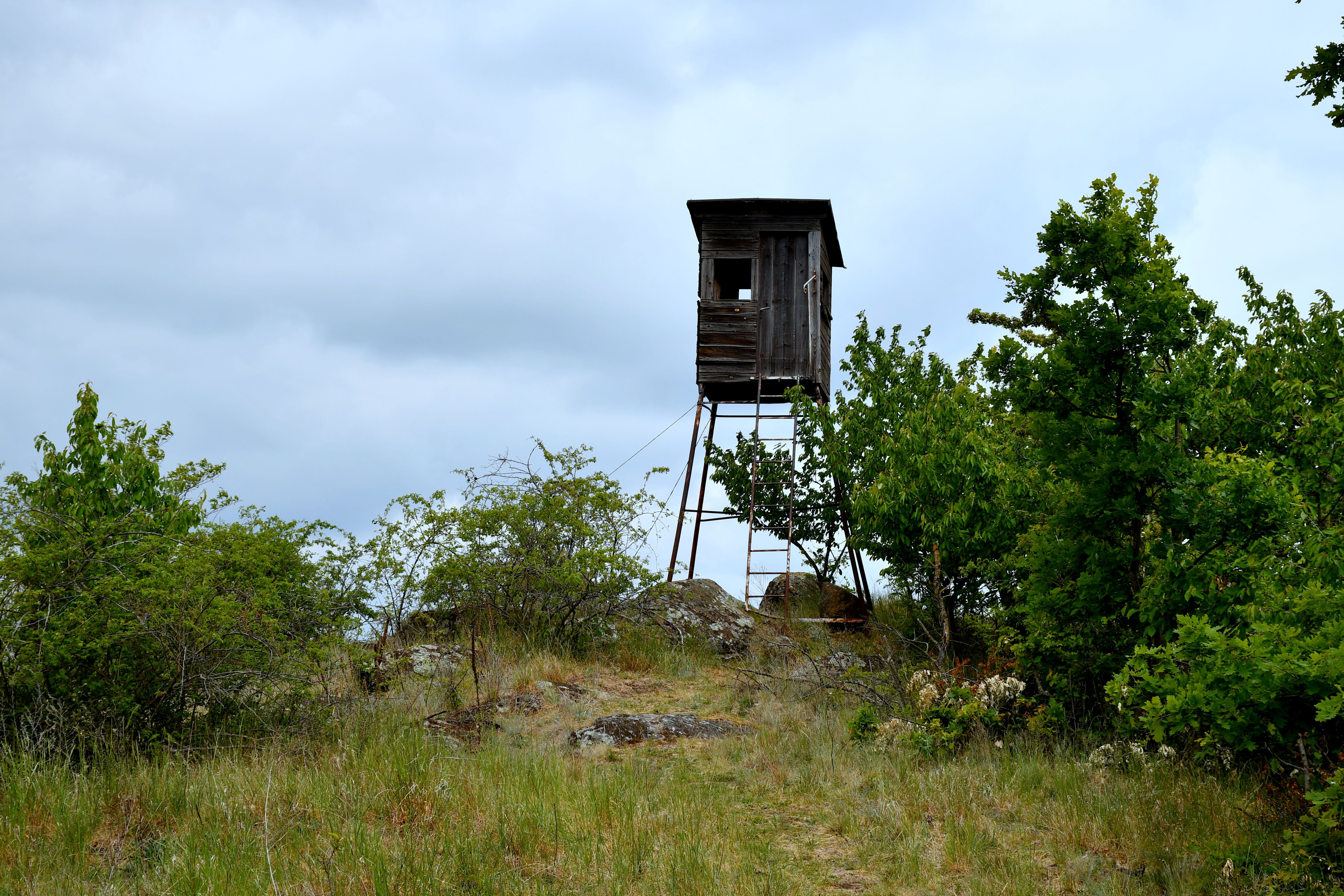 Feldberg bei Roggendorf