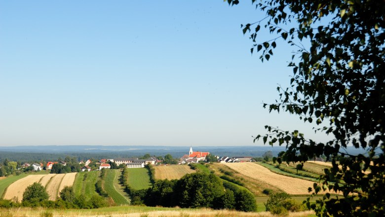 Landschaft mit Feldern und einem Dorf im Hintergrund, blauer Himmel, Baum im Vordergrund.