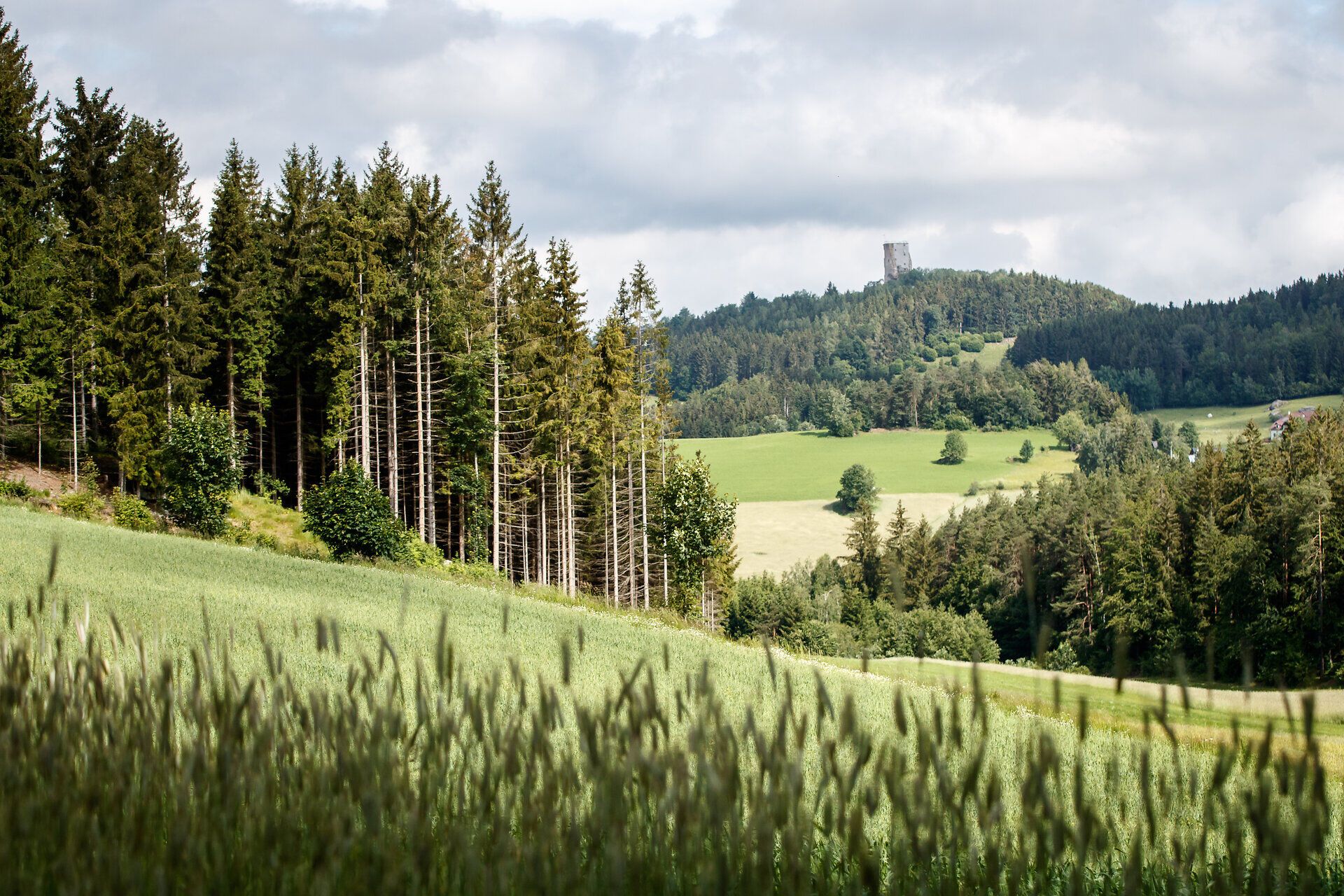 Umgeben von üppigen Wäldern und sanften Hügeln entfaltet sich eine malerische Landschaft, die zum Mountainbiken einlädt. Die Ruine Arbesbach thront majestätisch auf einem Hügel und bietet einen atemberaubenden Blick auf die idyllische Umgebung. Hier erleben Besucher die perfekte Kombination aus Natur und Geschichte.