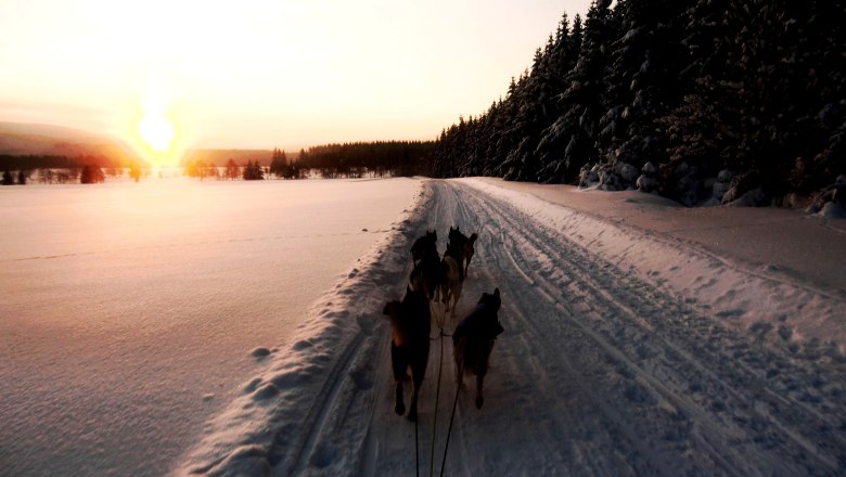 Huskys ziehen einen Schlitten bei Sonnenaufgang durch eine verschneite Landschaft.
