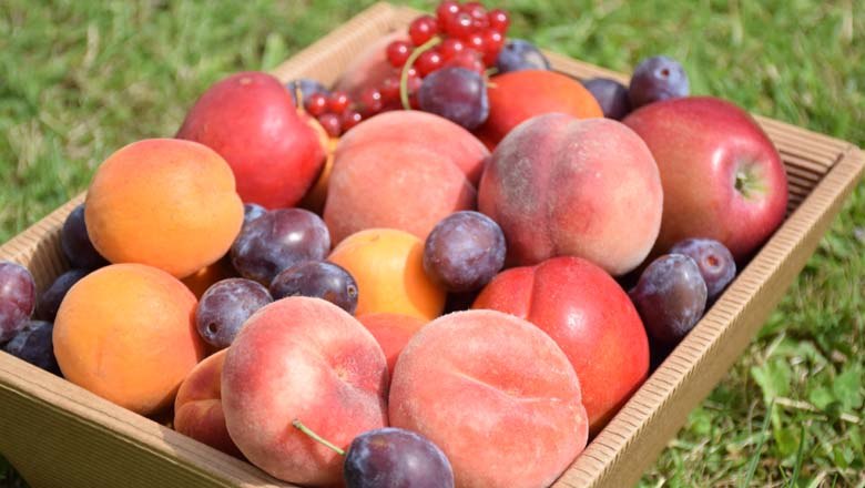 Fr&uuml;chte-Sortiment, &copy; Familie Schreiber