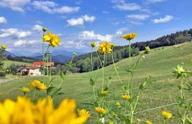 Fu&szlig;weg von Unternberg nach Sachsenbrunn, &copy; Wiener Alpen in Nieder&ouml;sterreich - Wechsel
