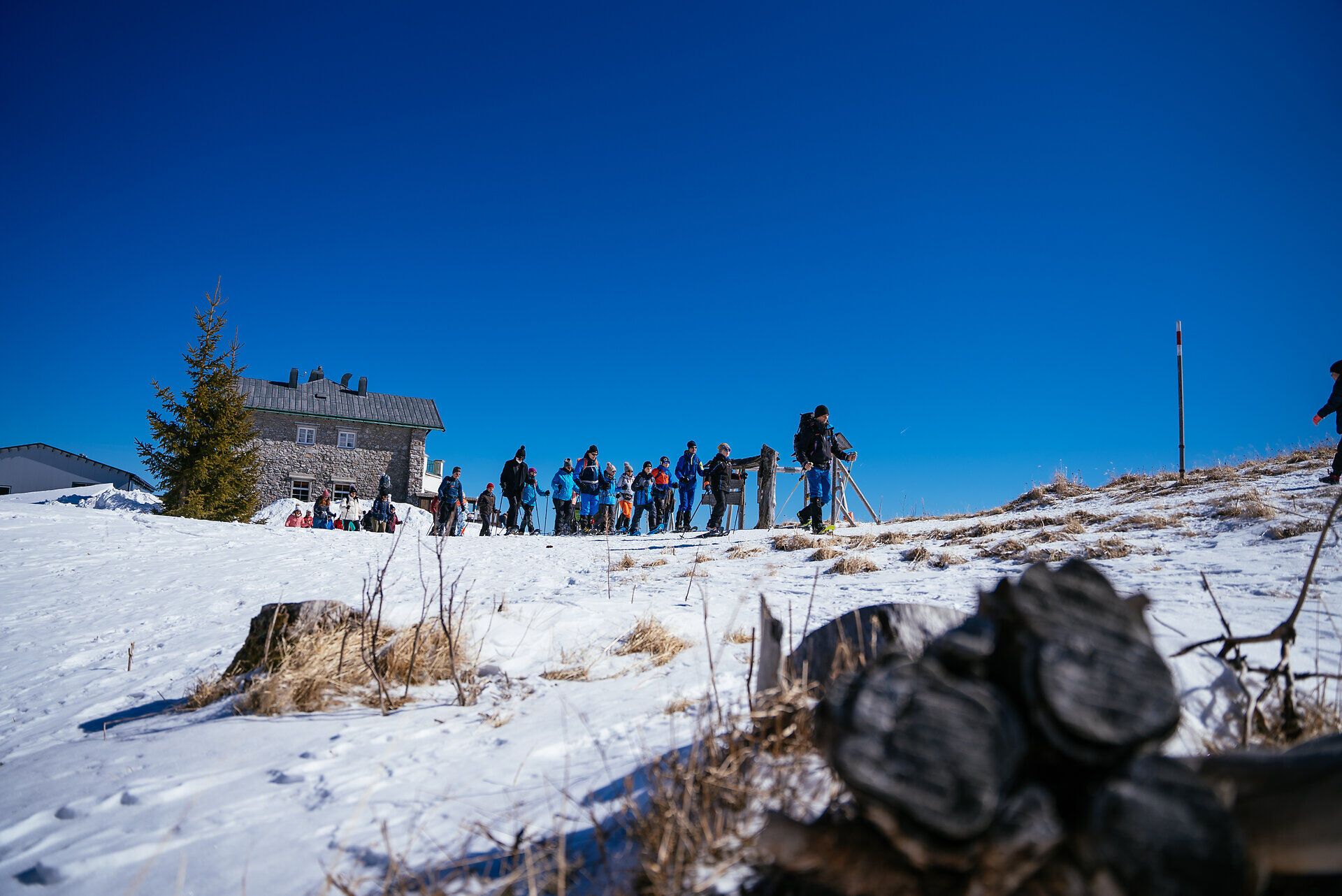 Gruppe von Menschen mit Schneeschuhen wandert auf verschneiter Fläche vor Nadelbäumen unter blauem Himmel
