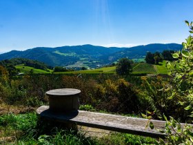 Rastplatz kurz vor Bergern, &copy; Gottfried Grossinger