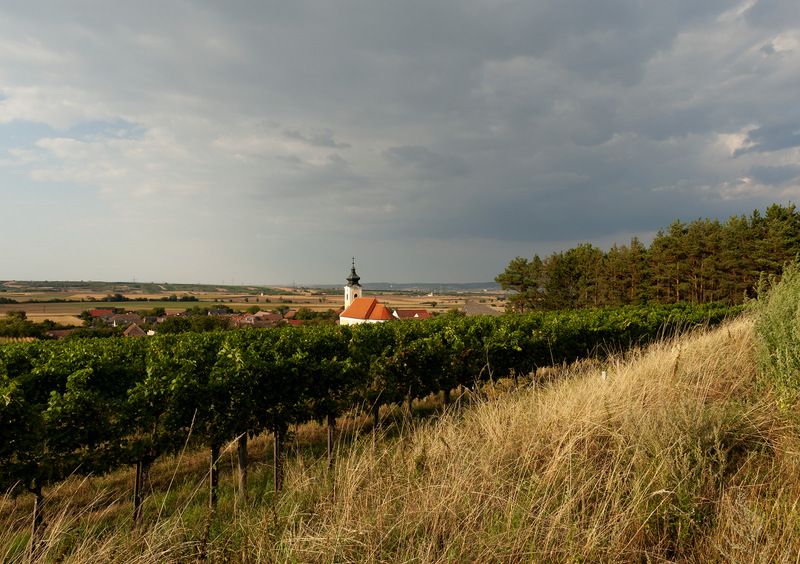Landschaft mit Kirche, Weinreben und Wolkenhimmel.