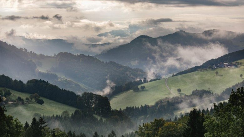 Panoramah&ouml;henweg im Herbst, &copy; schwarz-koenig.at
