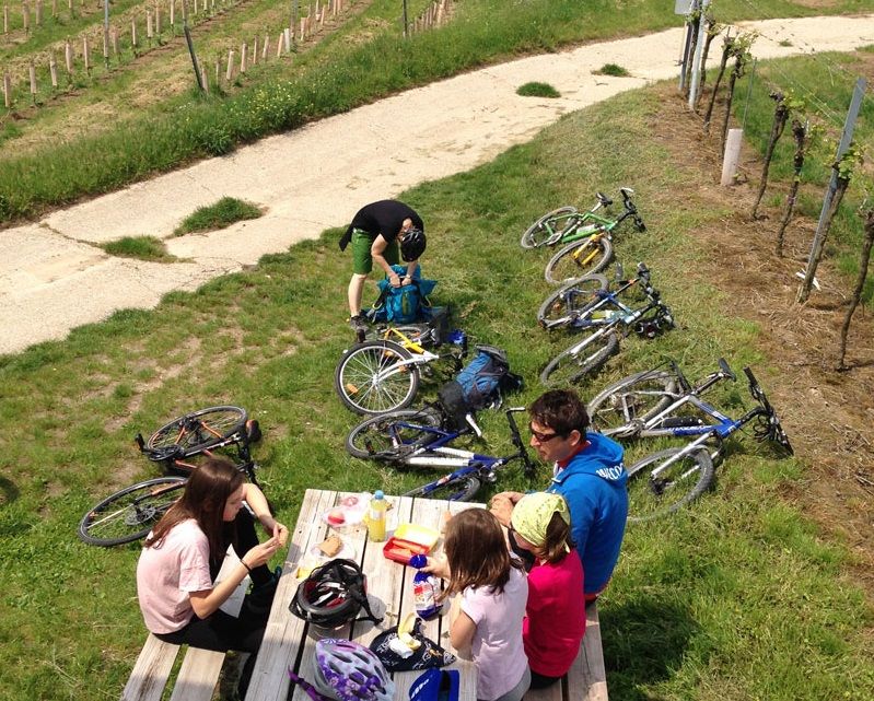 Gruppe von Menschen bei einem Picknick neben Fahrrädern auf einer Wiese.
