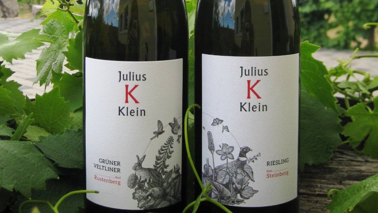 Zwei Weinflaschen von Julius Klein in einem Weinberg.